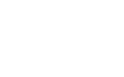 Tokyo-International-Cinema-Awards-film-awards-wreathes