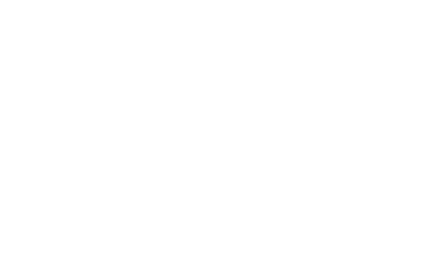 Chicago-Indie-Film-Awards-film-awards-wreathes-white
